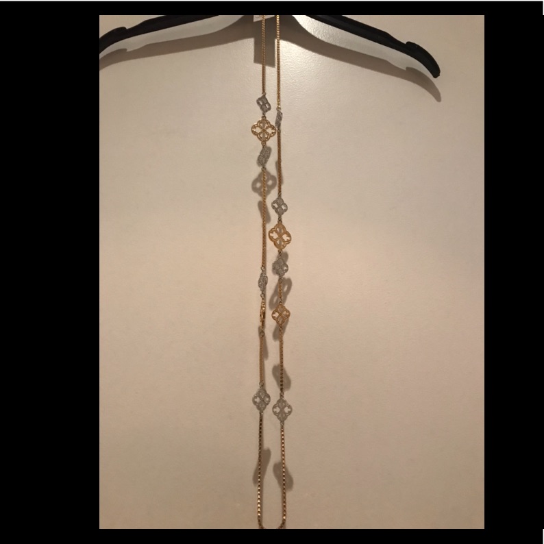 Nwt CWonder Long Emblem Necklace In GoldSilver 39$
